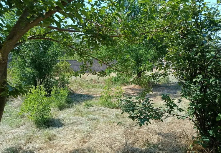 6 sot Torpaq Satılır, Məştağa qəs., Sabunçu, Bakı