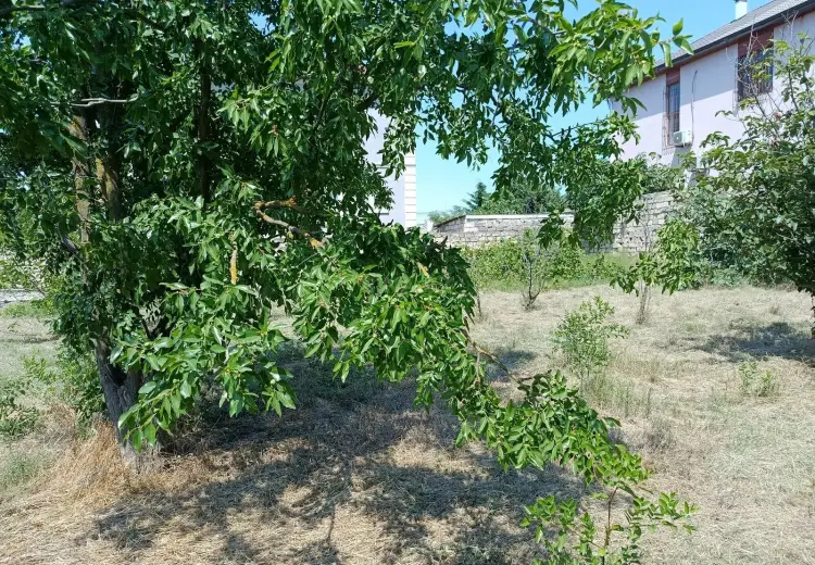 6 sot Torpaq Satılır, Məştağa qəs., Sabunçu, Bakı