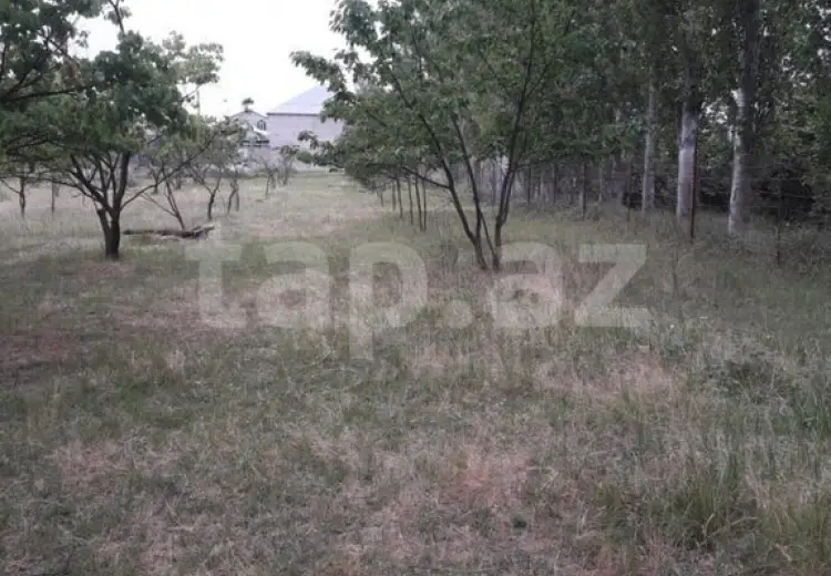 0 m² Obyekt / Ofis , Xaçmaz