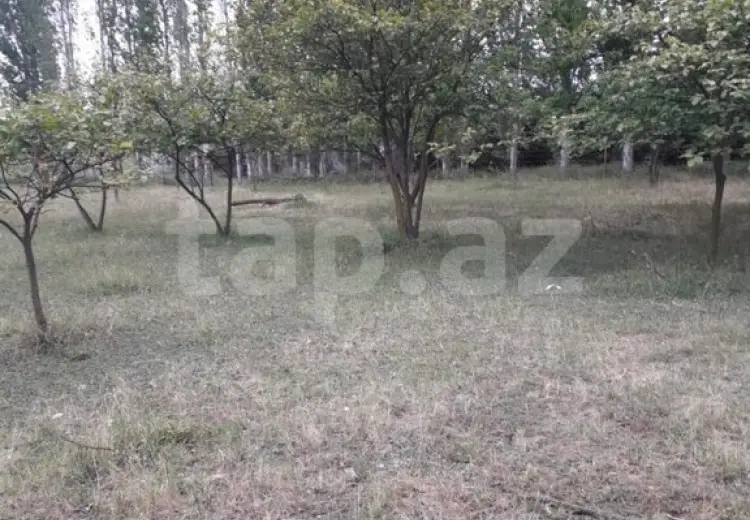 0 m² Obyekt / Ofis , Xaçmaz