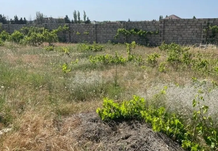 12 sot Torpaq Satılır, Nardaran qəs., Sabunçu, Bakı