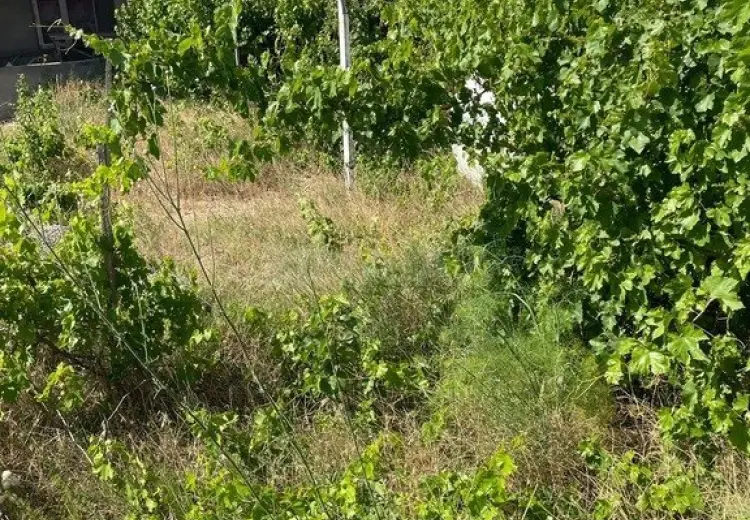12 sot Torpaq Satılır, Nardaran qəs., Sabunçu, Bakı