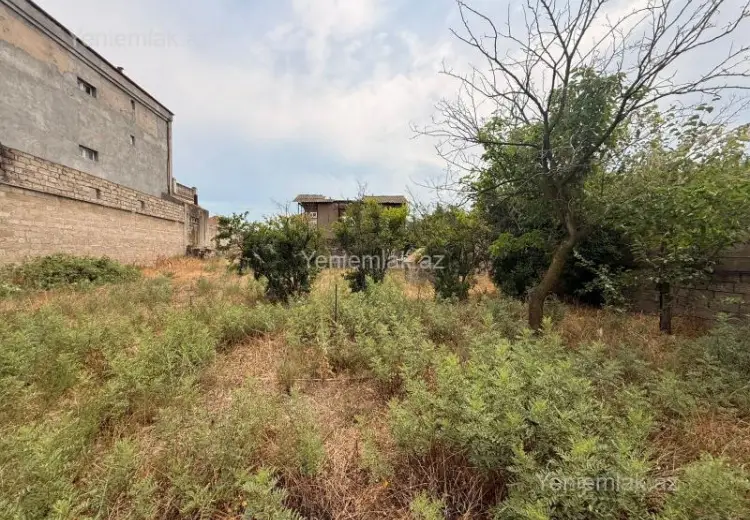 11 sot Torpaq Satılır, Mərdəkan, Xəzər, Bakı
