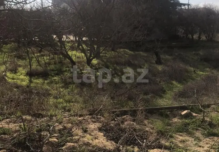 0 m² Obyekt / Ofis , Sabunçu, Bakı