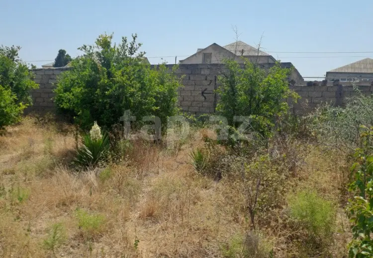 0 m² Obyekt / Ofis , Zirə, Xəzər, Bakı