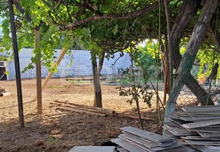 0 m² Obyekt / Ofis , Bilgəh qəs., Sabunçu, Bakı