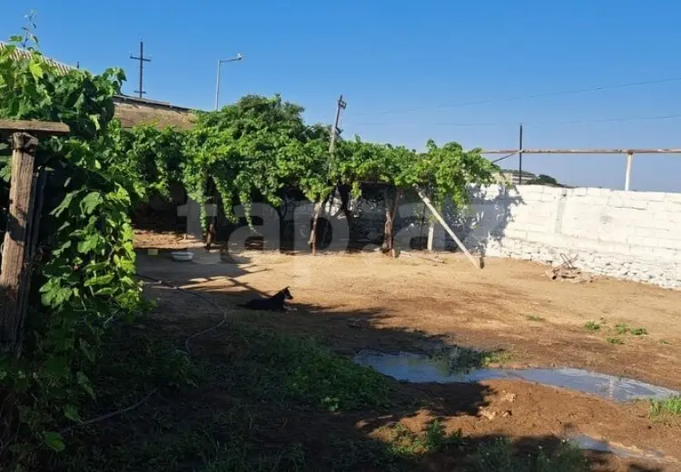 0 m² Obyekt / Ofis , Bilgəh qəs., Sabunçu, Bakı