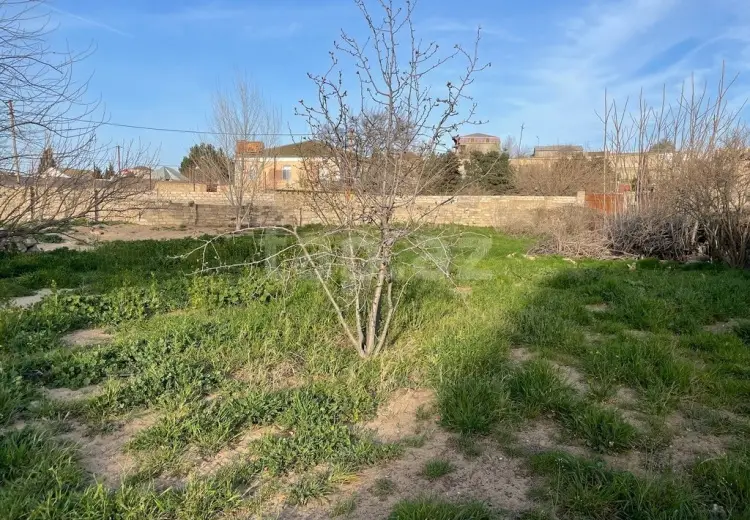 0 m² Obyekt / Ofis , Bilgəh qəs., Sabunçu, Bakı