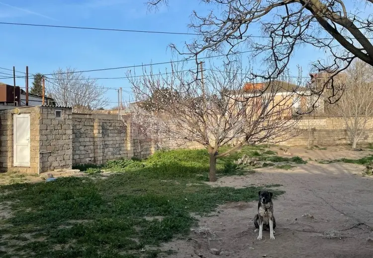 0 m² Obyekt / Ofis , Bilgəh qəs., Sabunçu, Bakı