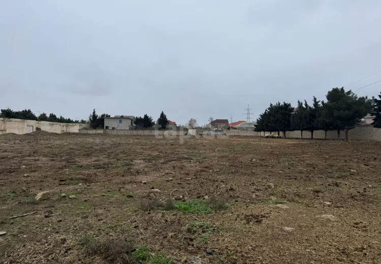 0 m² Obyekt / Ofis , Buzovna, Xəzər, Bakı