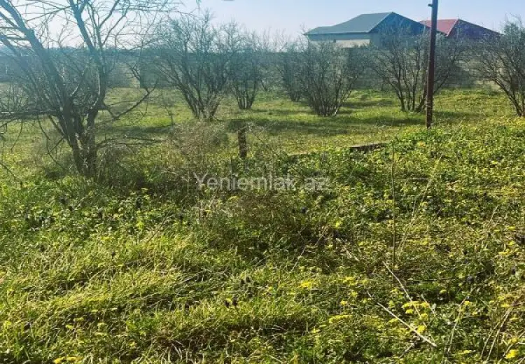 23 sot Torpaq Satılır, Novxanı, Abşeron