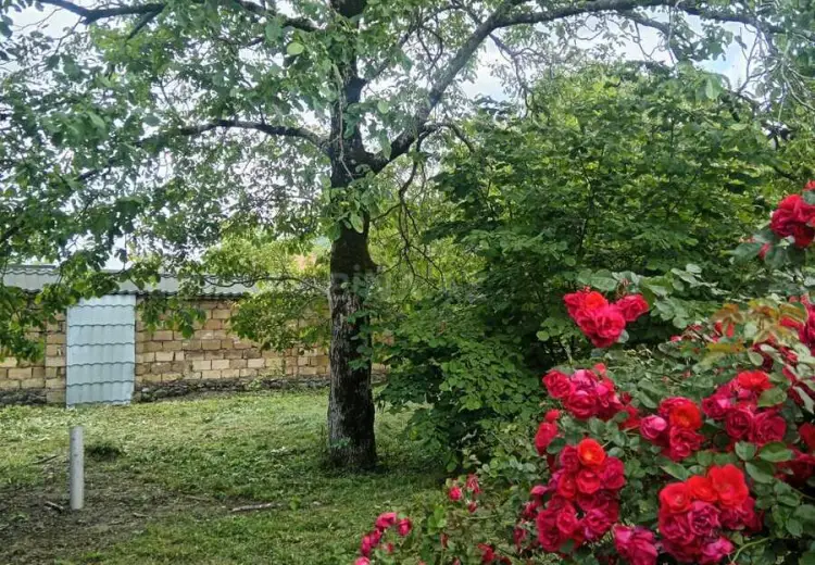 3 otaqlı mənzil Satılır, Qəbələ