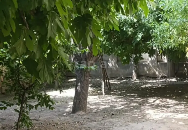 0 m² Obyekt / Ofis , Saray, Abşeron
