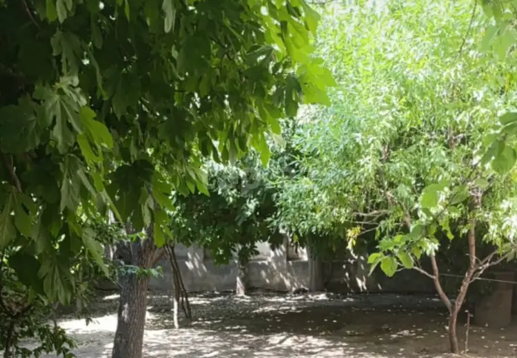0 m² Obyekt / Ofis , Saray, Abşeron