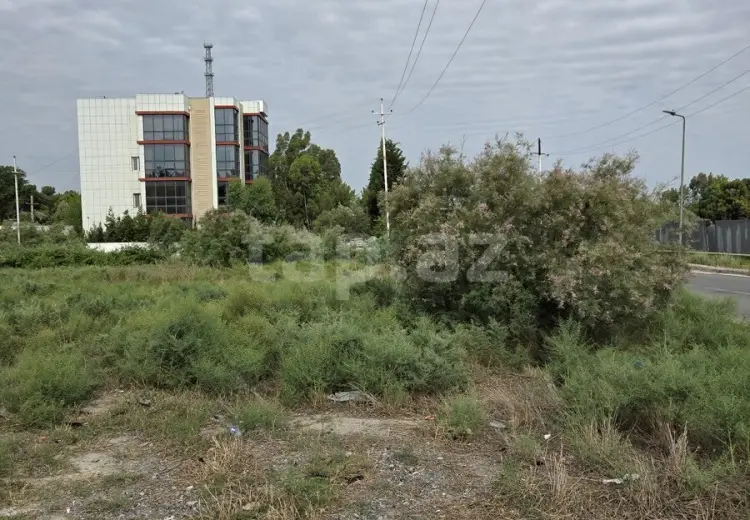 0 m² Obyekt / Ofis , Şirvan