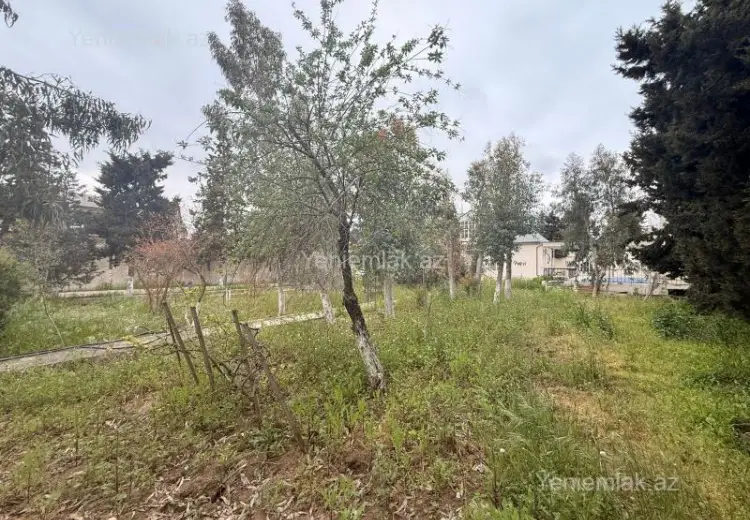 12 sot Torpaq Satılır, Mərdəkan, Xəzər, Bakı