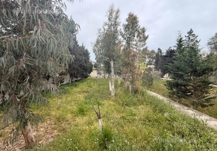 12 sot Torpaq Satılır, Mərdəkan, Xəzər, Bakı