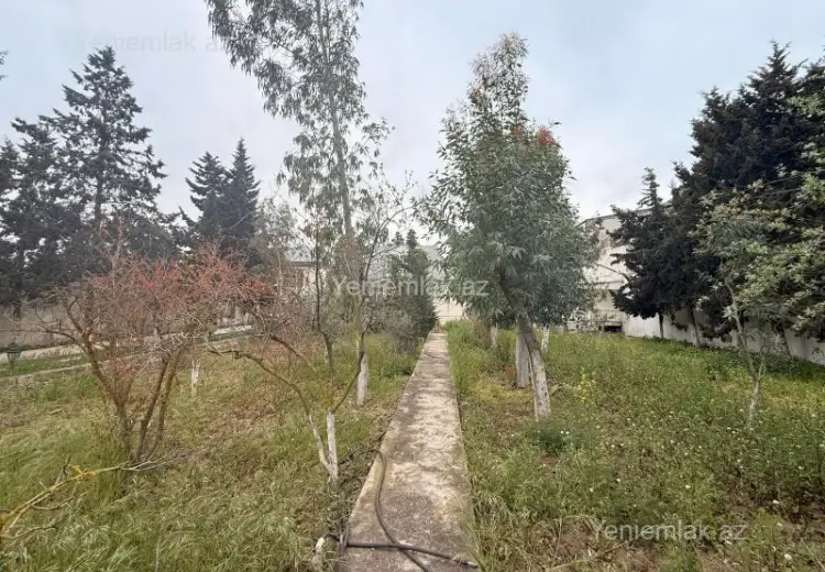 12 sot Torpaq Satılır, Mərdəkan, Xəzər, Bakı