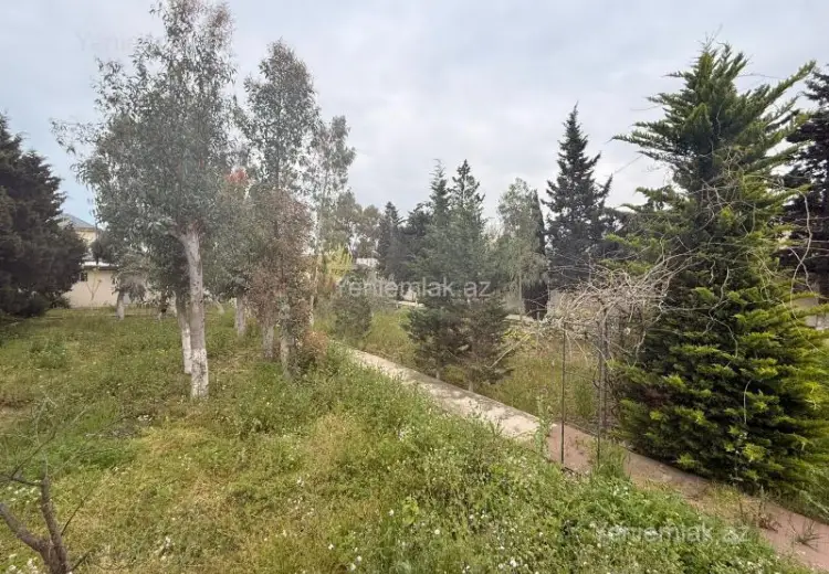 12 sot Torpaq Satılır, Mərdəkan, Xəzər, Bakı