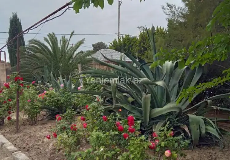 4 otaqlı mənzil Kirayə (aylıq), Mərdəkan, Xəzər, Bakı