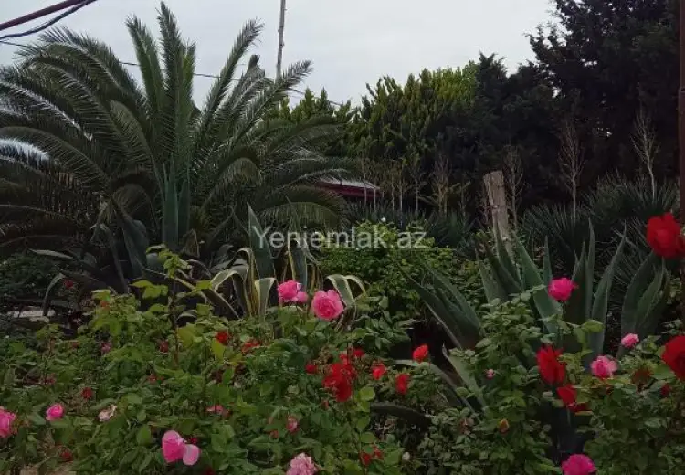 4 otaqlı mənzil Kirayə (aylıq), Mərdəkan, Xəzər, Bakı