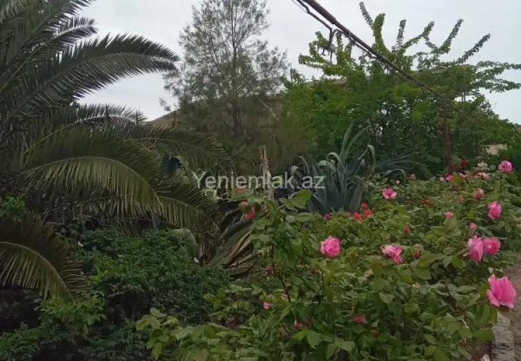 4 otaqlı mənzil Kirayə (aylıq), Mərdəkan, Xəzər, Bakı