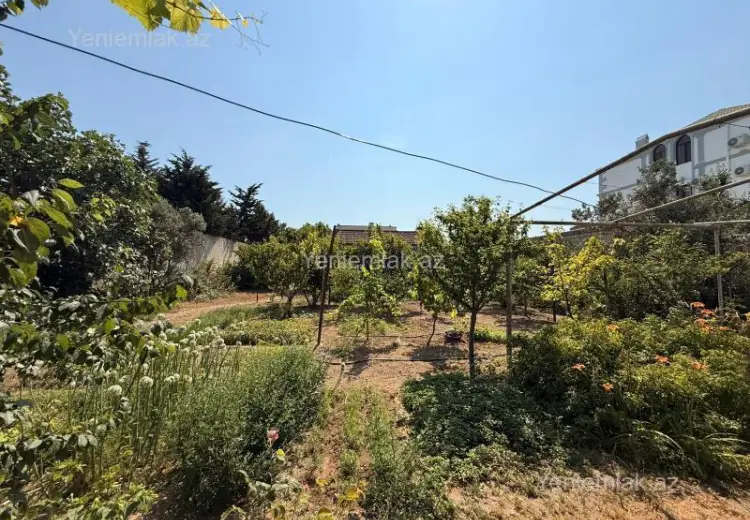 12 sot Torpaq Satılır, Mərdəkan, Xəzər, Bakı