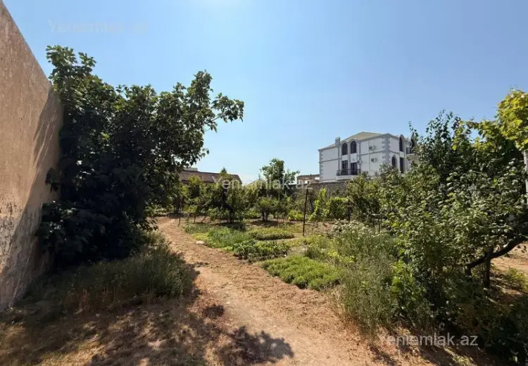 12 sot Torpaq Satılır, Mərdəkan, Xəzər, Bakı