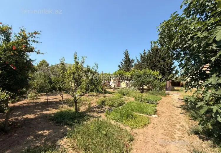 12 sot Torpaq Satılır, Mərdəkan, Xəzər, Bakı