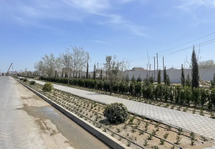 6 sot Torpaq Satılır, Nardaran qəs., Sabunçu, Bakı
