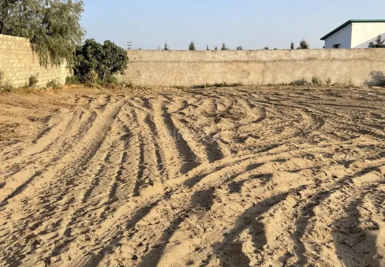 6 sot Torpaq Satılır, Nardaran qəs., Sabunçu, Bakı