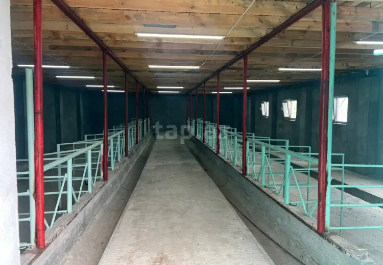 0 m² Obyekt / Ofis , Bakı