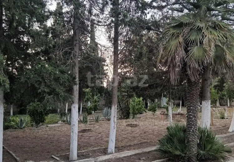 0 m² Obyekt / Ofis , Mərdəkan, Xəzər, Bakı