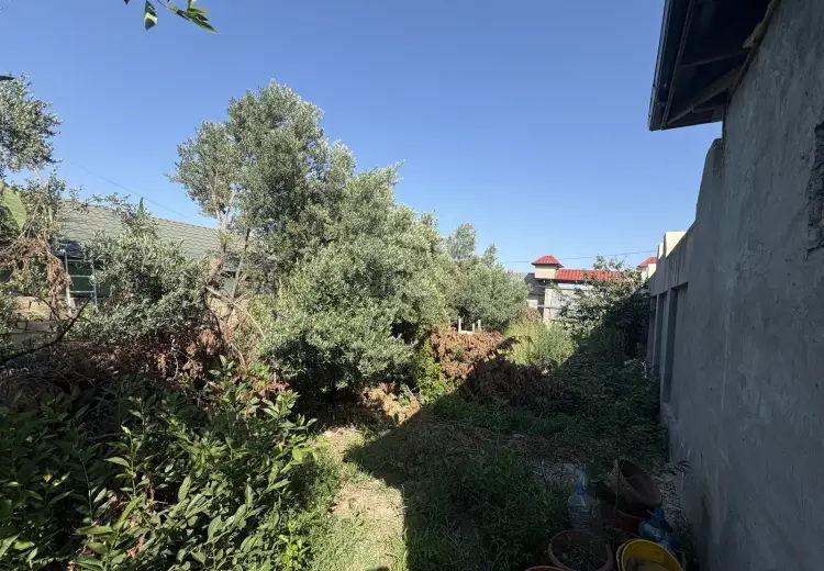 6 sot Torpaq Satılır, Goradil, Abşeron
