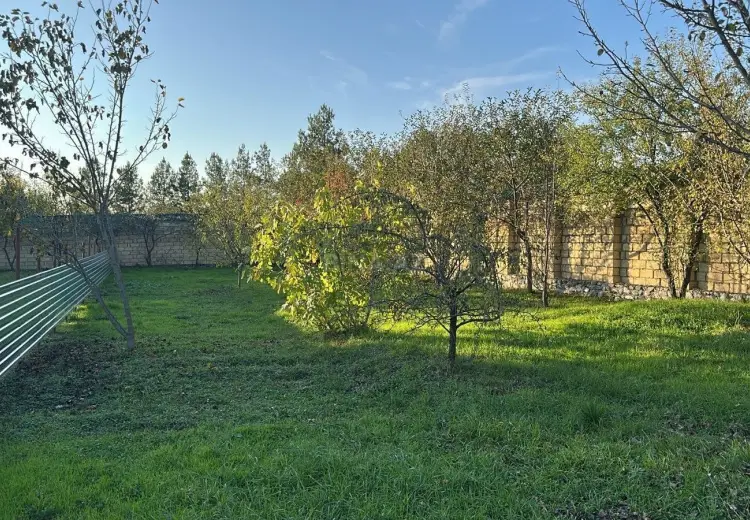 5 sot Torpaq Satılır, Qəbələ