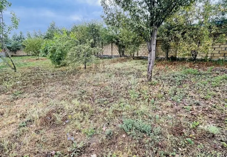 5 sot Torpaq Satılır, Qəbələ