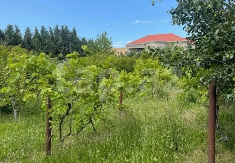 0 m² Obyekt / Ofis , Novxanı, Abşeron