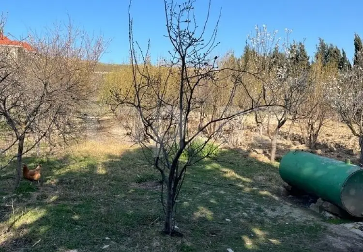 0 m² Obyekt / Ofis , Novxanı, Abşeron