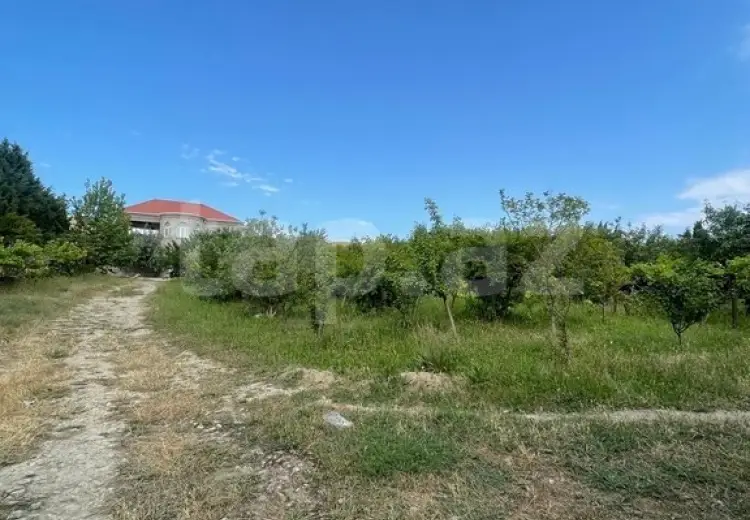 0 m² Obyekt / Ofis , Novxanı, Abşeron