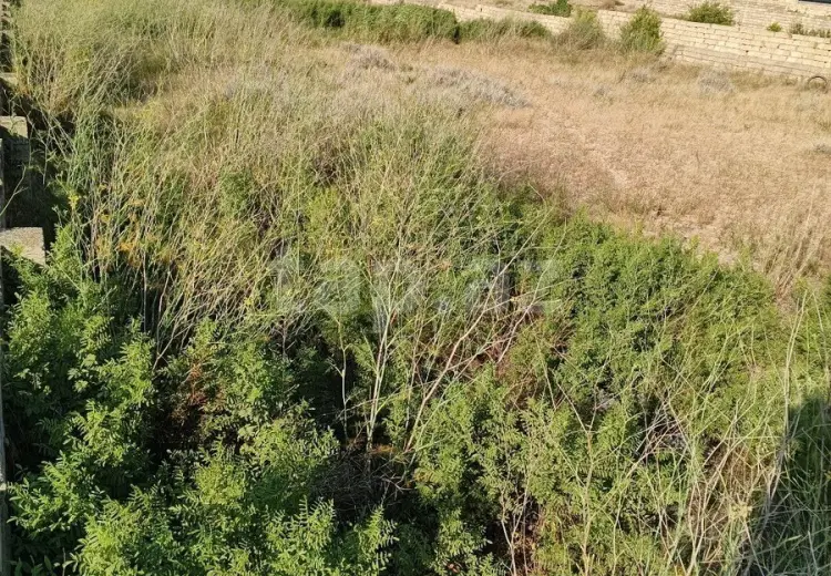 0 m² Obyekt / Ofis , Məştağa qəs., Sabunçu, Bakı