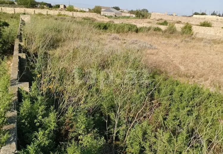 0 m² Obyekt / Ofis , Məştağa qəs., Sabunçu, Bakı