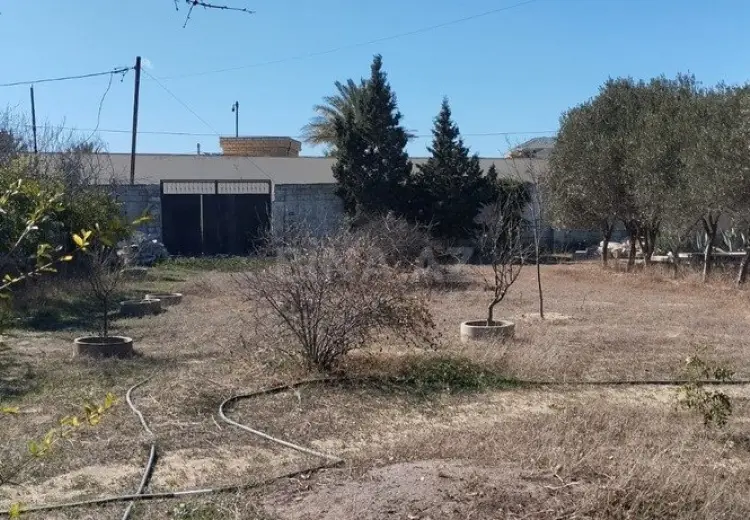 5 sot Torpaq Satılır, Bilgəh qəs., Sabunçu, Bakı
