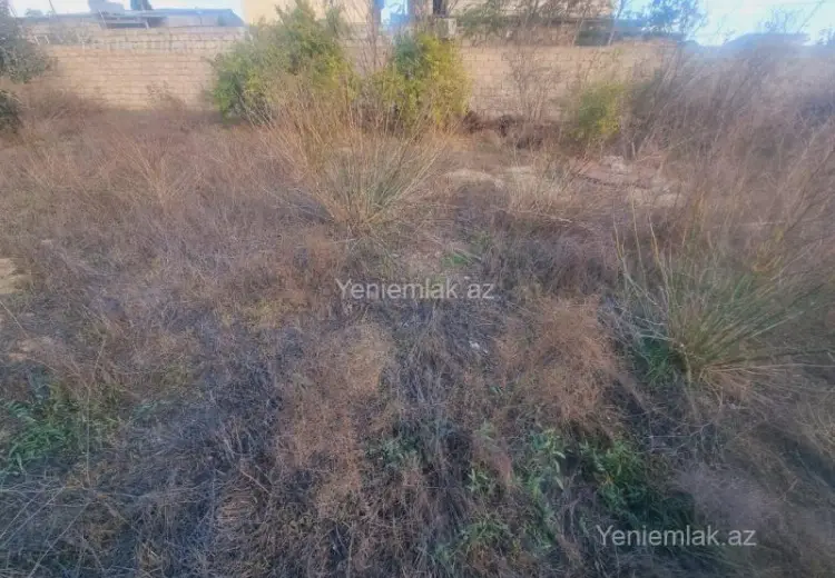 8 sot Torpaq Satılır, Mərdəkan, Xəzər, Bakı
