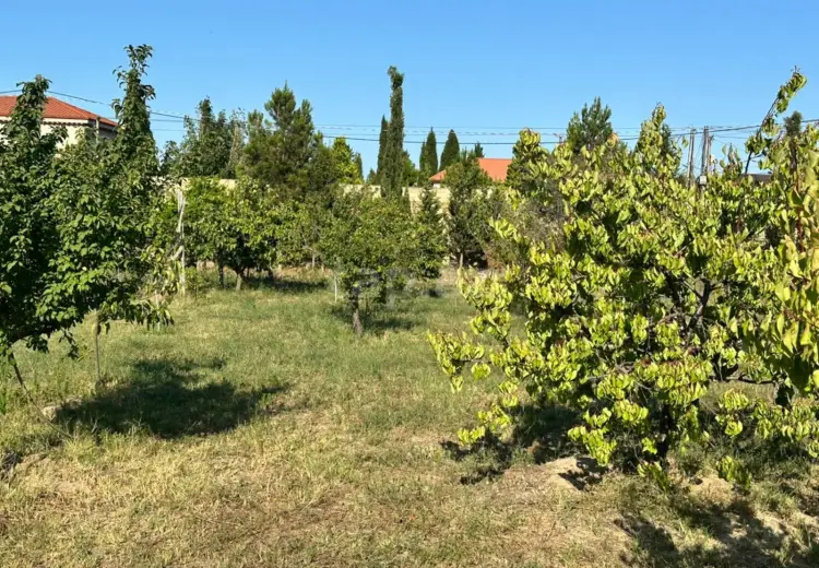 0 m² Obyekt / Ofis , Bakı