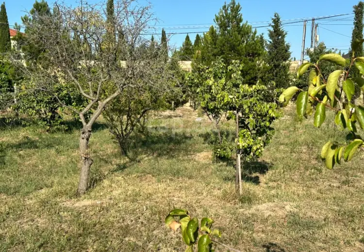 0 m² Obyekt / Ofis , Bakı