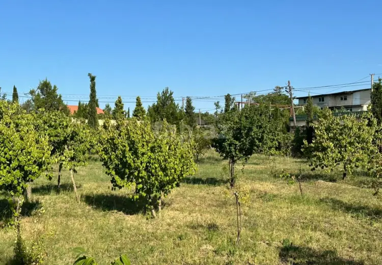 0 m² Obyekt / Ofis , Bakı