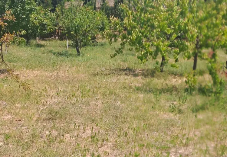 4 sot Torpaq Satılır, Goradil, Abşeron