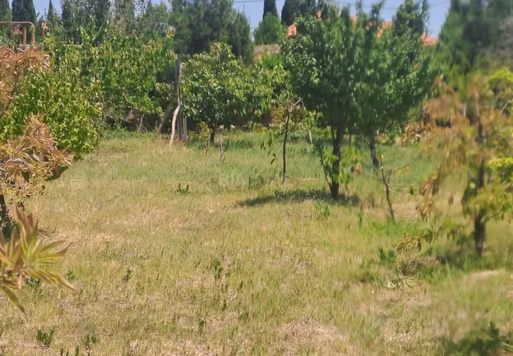 4 sot Torpaq Satılır, Goradil, Abşeron