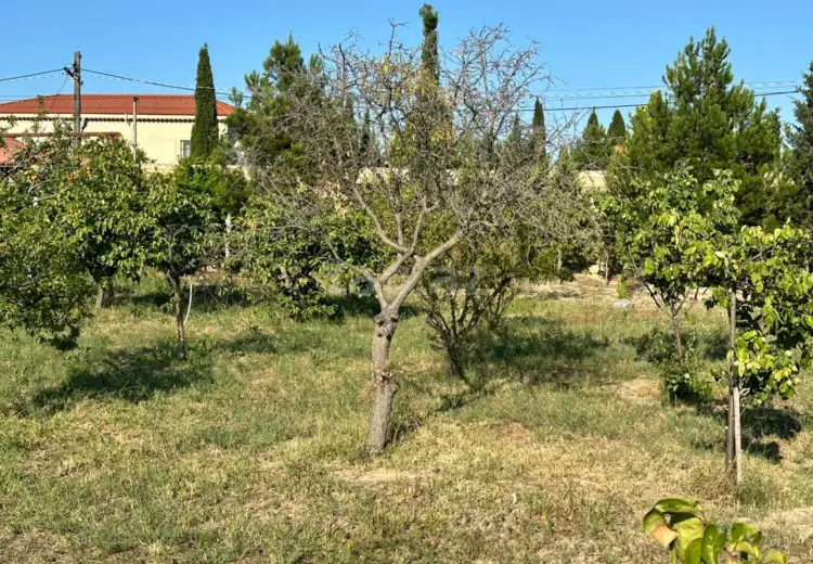 0 m² Obyekt / Ofis , Bakı