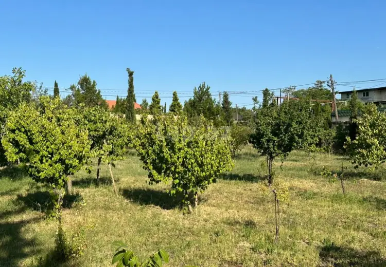 0 m² Obyekt / Ofis , Bakı
